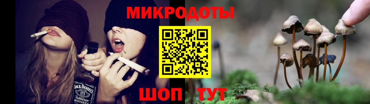 Саров  закладка  Вход с VPN  Галлюциногенные грибы мицелий 